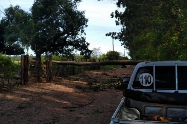 Motociclista murió al chocar un tronco caído durante el temporal