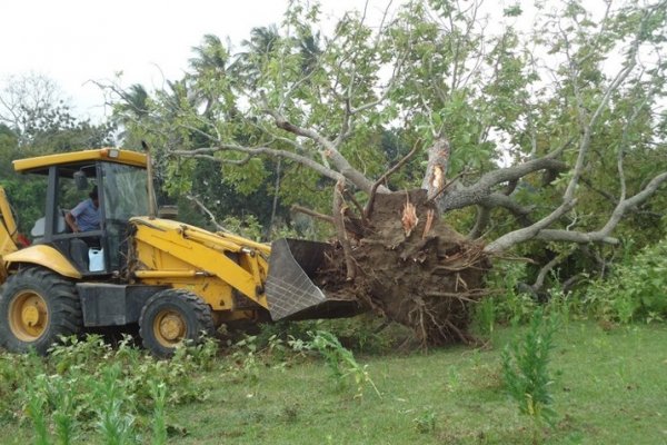 Hombre falleció aplastado por un árbol cuando realizaba trabajos de desmonte en el paraje Carayá