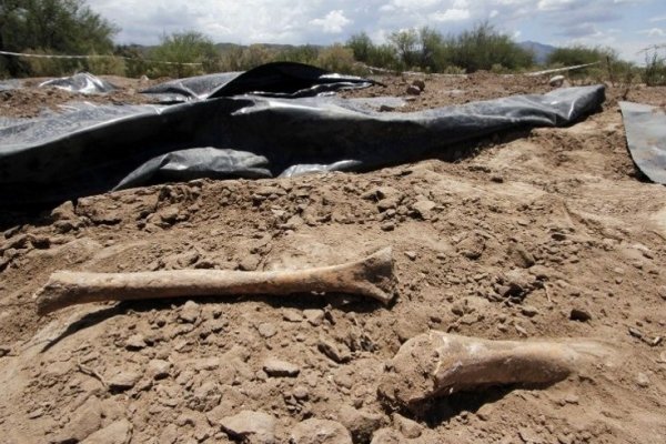 Hallaron restos óseos de un niño que data desde hace más de 30 años en La Cruz