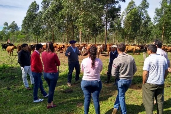 Continúan las reuniones de Grupos del Plan Ganadero