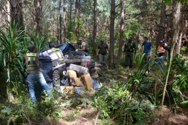 Decomisan más de dos toneladas de marihuana en Misiones