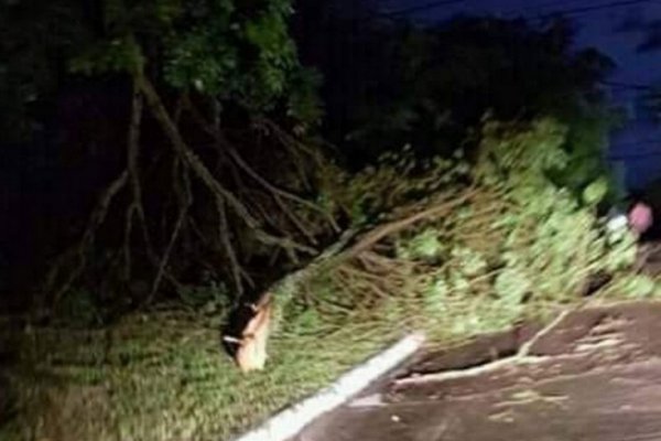 Fuerte temporal causó daños en Esquina: Se mantiene vigente un alerta meteorológico