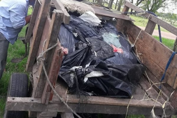 Cuatreros detenidos en Mercedes