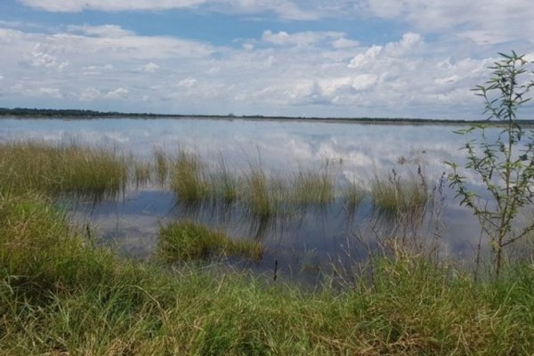 Concepción: Hay un paraje aislado y ya son más de 500 las personas afectadas por la inundación