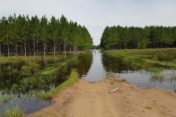 Las inundaciones complican la actividad forestal en Santa Rosa