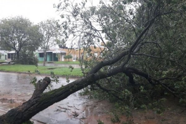Paso de los Libres: Tras el temporal hay barrios sin energía y evacuados