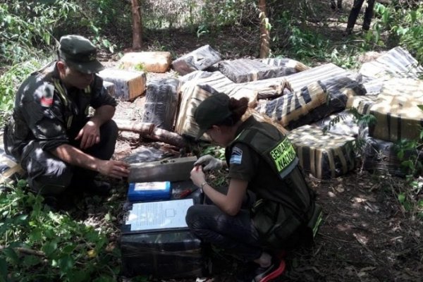 Misiones: Gendarmería incautó más de una tonelada  de marihuana