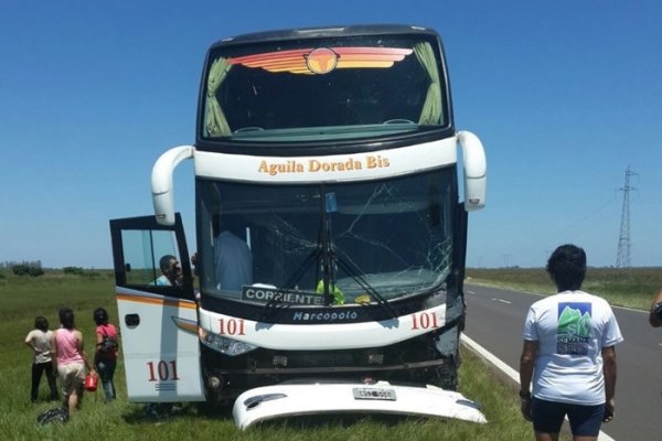 Colectivo de larga distancia embistió una vaca cerca de San Cosme: 14 pasajeros resultaron heridos