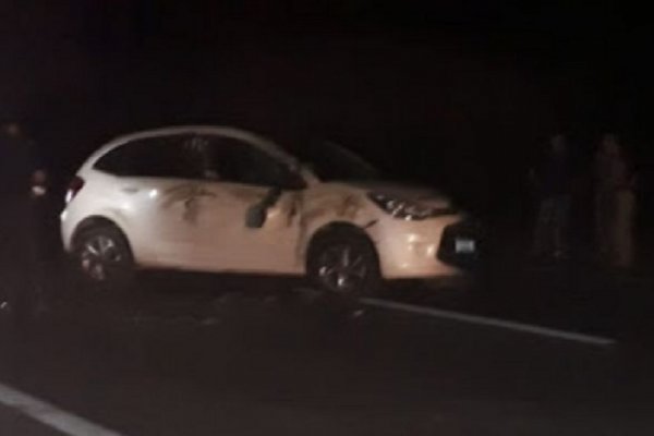 Ruta 12: Choque en cadena tras colisionar con caballos sueltos