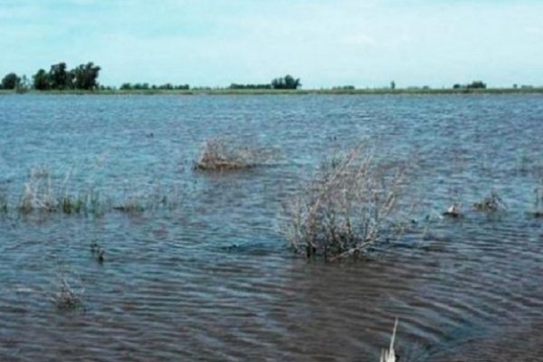 Encontraron un cadáver flotando en una laguna de Corrientes