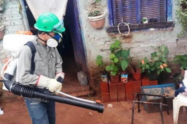 Realizarán tareas de prevención de dengue en Virasoro e Ituzaingó