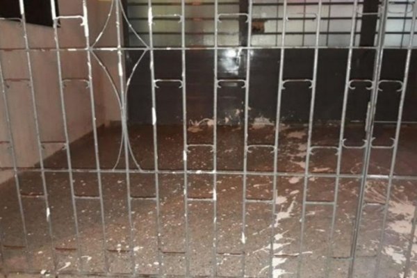 Por segunda vez en 15 días, volvieron a robar en una escuela
