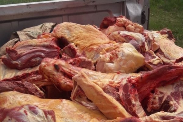 Decomisan más de 400 kilos de carnes en Gobernador Martínez