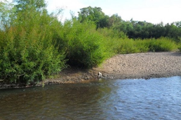 Hallan muerto al joven que cayó al río Santa Lucía
