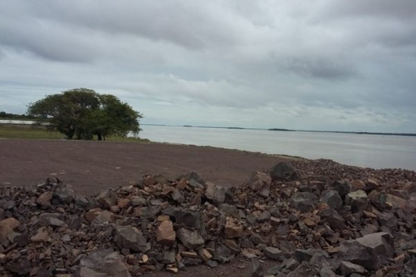Puerto de Lavalle: Proyectan planta de secado de madera