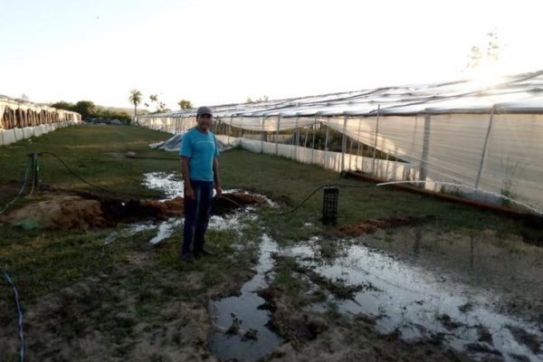 Santa Rosa: Un  productor florícola, con acceso al agua