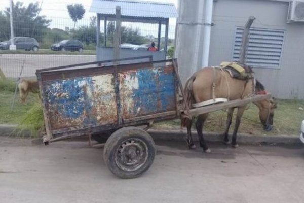 Carreros demorados por intentar sustraer el celular a una mujer