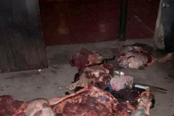 En un operativo sorpresa detuvieron a cuatreros en plena clandestina