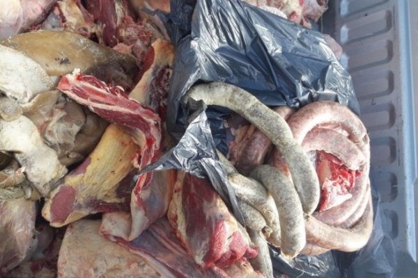 Procedimientos contra la faena clandestina en 9 de Julio y Pedro R. Fernández