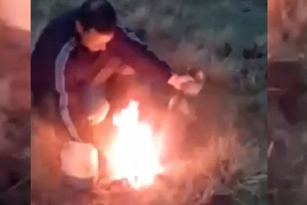 Crueldad humana con la fauna silvestre en Santa Ana