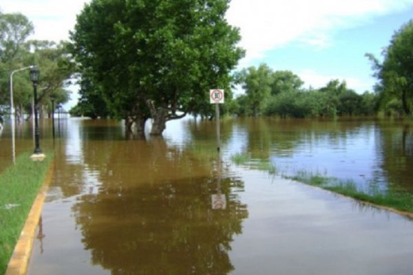 Alerta por la crecida del río Uruguay, que suma autoevacuados en Libres