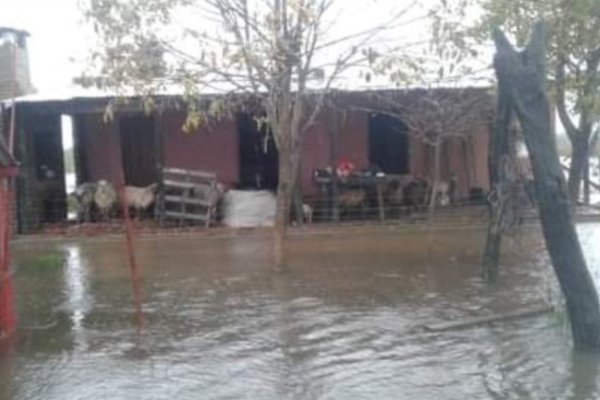 Las intensas lluvias complican la situación en Itatí: Varios parajes están totalmente anegados