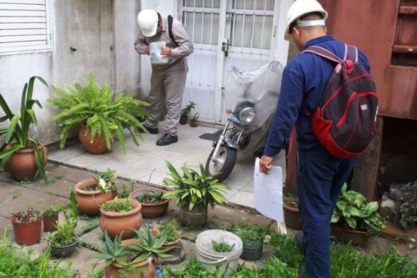 Salud Pública realizó bloqueo vectorial ante un caso probable de Dengue