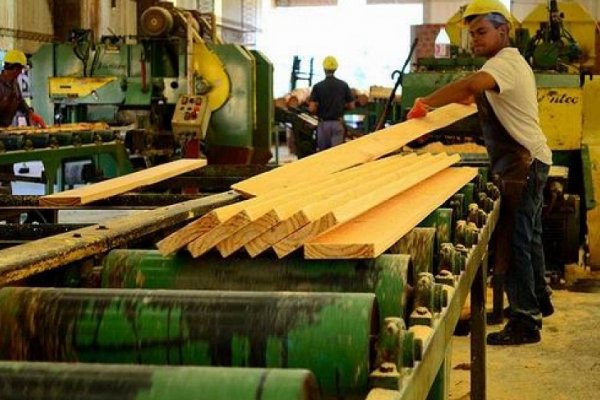 Industria maderera necesitará capital humano más calificado