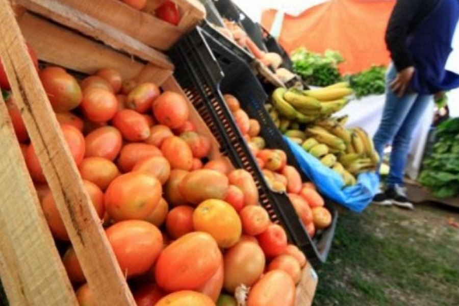 En Argentina el precio de los tomates aumentó un 13%