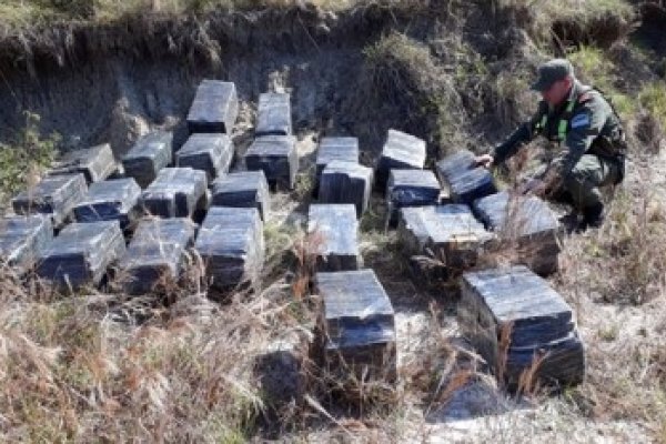 Gendarmes hallan más de 700 kilos de marihuana ocultos en un malezal