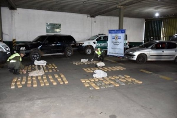 Operativo “Tráfico verde”
