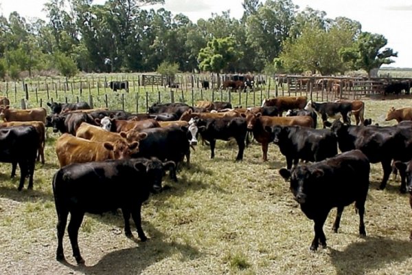 Productores reclaman por la ley agroindustrial