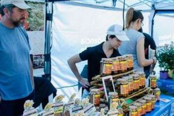 Feria del Encuentro en la plaza Los Constituyentes