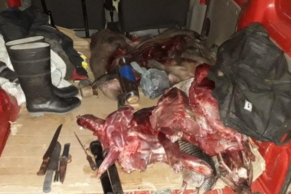 Santa Rosa: Secuestraron animales faenados y armas de fuego