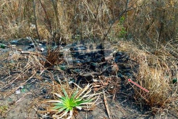 Hallaron huesos humanos cerca de la Rural Goya