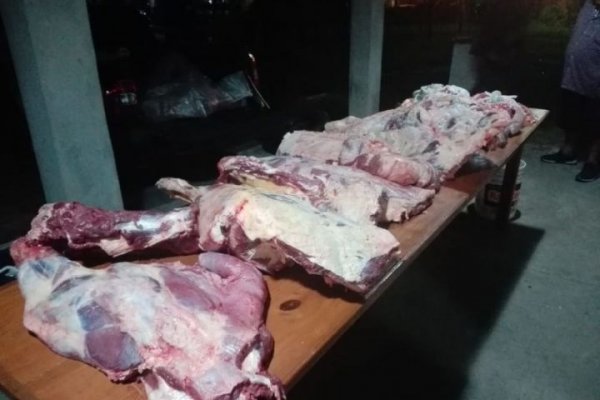 San Luis del Palmar: incautan más de 400kg de carne en mal estado
