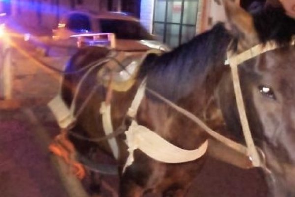 Vecinos indignados denuncian a un menor por conducir un carro de caballos