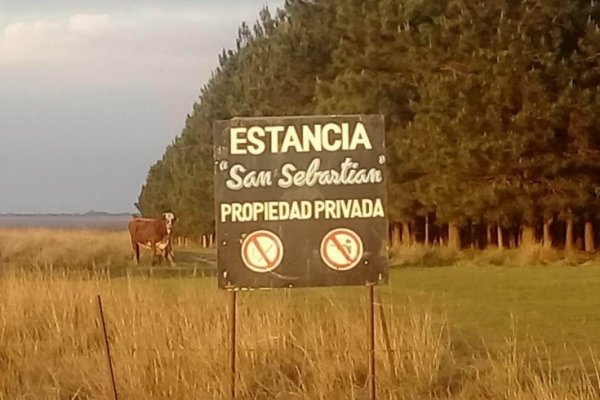 Robaron vacas de una estancia en San Roque