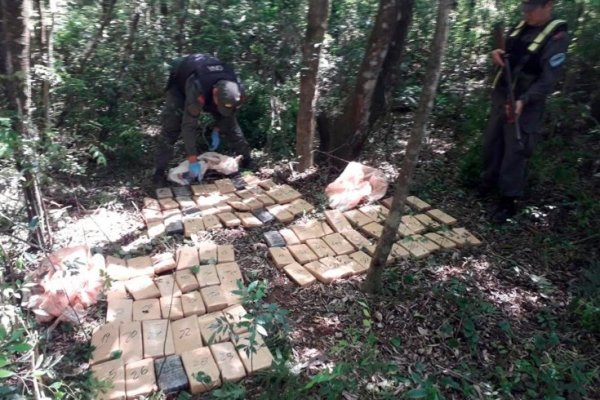 Misiones: Incautan más de 80 kilos de marihuana en zona costera