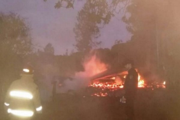 Insólito: Gallina provocó un feroz incendio en la zona rural de Sauce