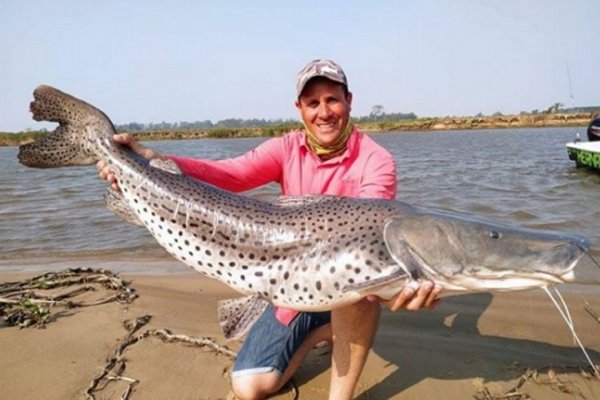 Esquina: Pescaron un surubí de 35 kilos y lo devolvieron al río