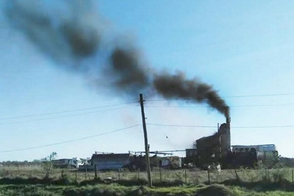 Perugorría: Contaminación ambiental habilitada por la Justicia