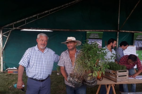 Programa Cortinas Forestales: 700 productores asistidos, 420 km lineales y 2050 hectáreas protegidas