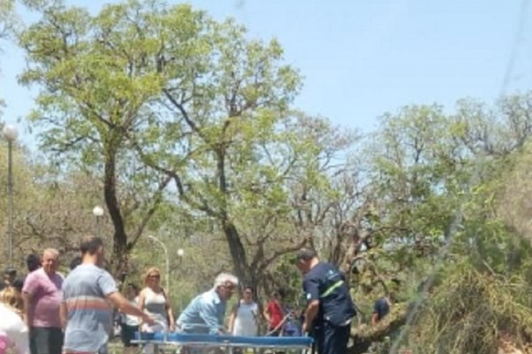 Un árbol cayó sobre dos personas en el Parque Mitre