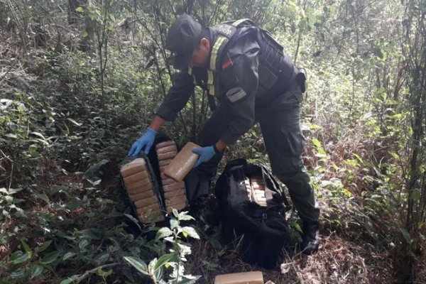 Misiones: Incautaron más de 59 kilos de marihuana oculta en un monte