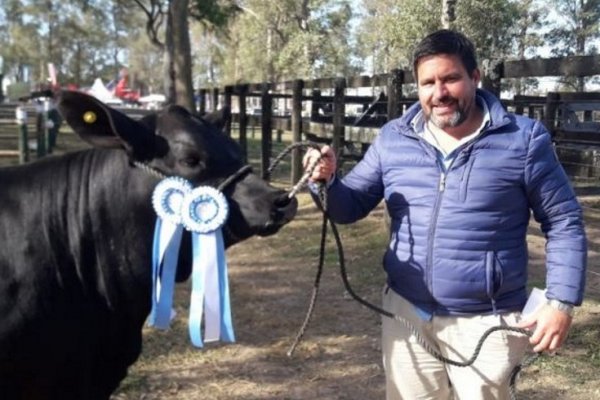 Cuatreros faenaron una vaca campeona de medio millón de pesos