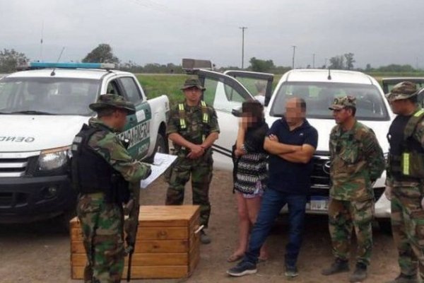 Desbaratan banda que proveería cocaína para comercializar en Corrientes