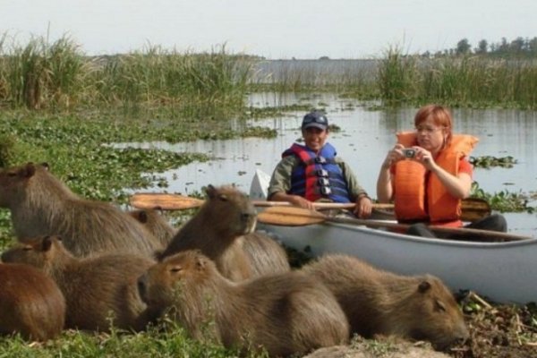 Más de 4,2 millones de personas viajaron por Argentina este fin de semana largo