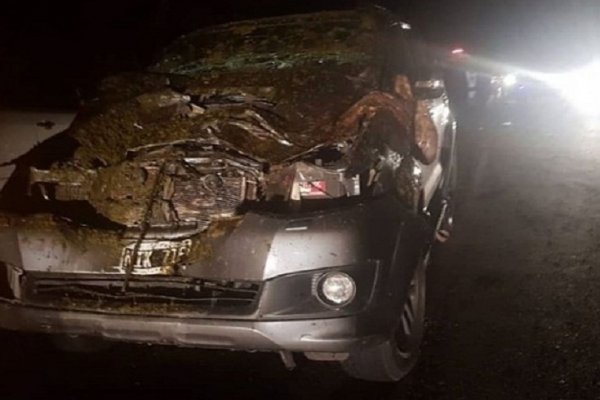 Itatí: Médico chocó a un caballo suelto en Ruta Provincial 20