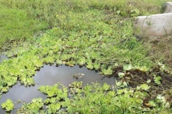 Terrible hallazgo del cadáver de un hombre en una zanja en Corrientes